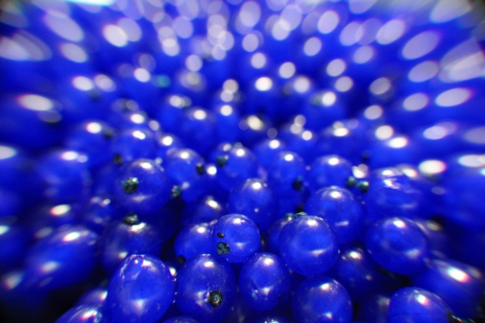 Johannisbeeren in Blau