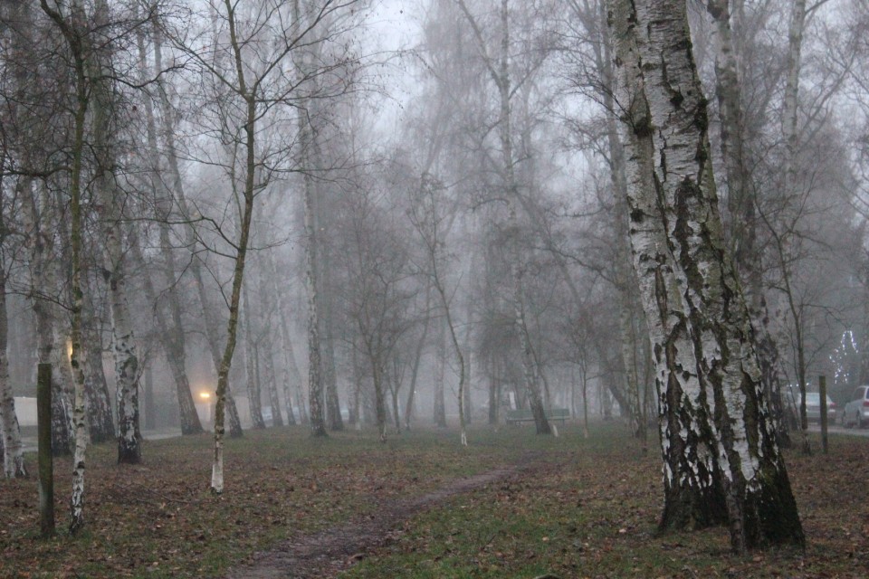 LebennebenNebel V